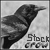 Nencraban-Stock's avatar