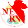 NERVplz's avatar