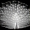 NetherlandRose's avatar