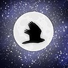 night-hawk0913's avatar