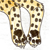 Night-Leopard-800's avatar