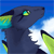 Nightfeather123's avatar