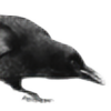 Nightmare-Dragonz's avatar