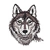 Nightwolfs123's avatar