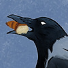 Nihrael's avatar