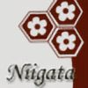 NIIIGATA's avatar