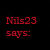 nils23's avatar