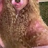 ninacatcake's avatar