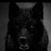 ninja-wolf90's avatar