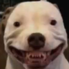 nixnugget's avatar