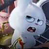 nnamsf's avatar