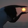 Nocas3's avatar