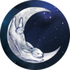 nocturnalwhims's avatar