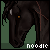noodle-monster's avatar