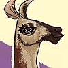 NoodleOwl's avatar