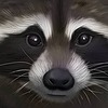 nookzpea's avatar