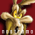 nostromo2k3's avatar