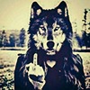 DeviantArt - The Largest Online Art Gallery and Community