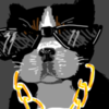 NotoriouSJAM18's avatar