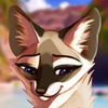NovaNocturne's avatar