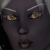 Novbre's avatar