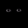 Novella-Ecliipse's avatar