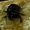 NovelOfNature's avatar