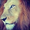 nrgshare's avatar