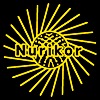 Nurikor's avatar