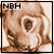 Nutbrown-hare's avatar