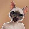 Nyakotine's avatar
