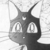Nykachu9's avatar