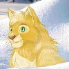 O-Renji-the-Cat's avatar