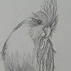 Obscured0's avatar