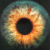 observator's avatar