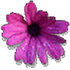 OCequestria's avatar