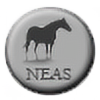 Official-NEAS's avatar