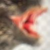 oiuyrw's avatar