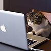 Okiedude2011's avatar