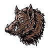 OldBoar312's avatar