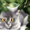 OlgaH-SteelClaw1's avatar