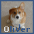 Oliver-corgi's avatar