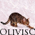 OlivisC's avatar