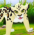 OMLioNdraws's avatar