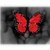 one-red-butterfly's avatar