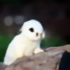 oneearedbunny's avatar