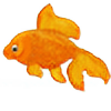 oo-x-goldfish-x-oo's avatar