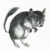 opaXIII's avatar