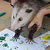 opossum-artworks's avatar