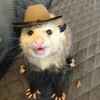 opossumarts's avatar